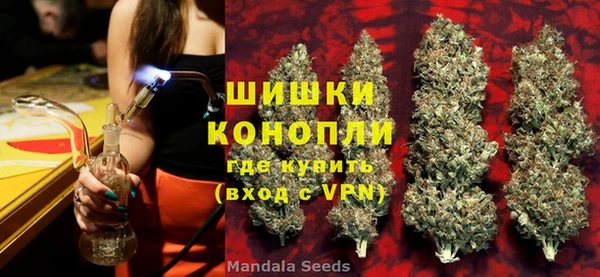 мдпв Волосово