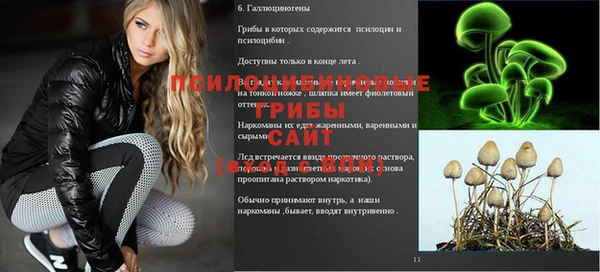 дживик Володарск